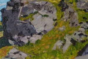 Field with rocks